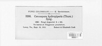 Cercospora hydropiperis image